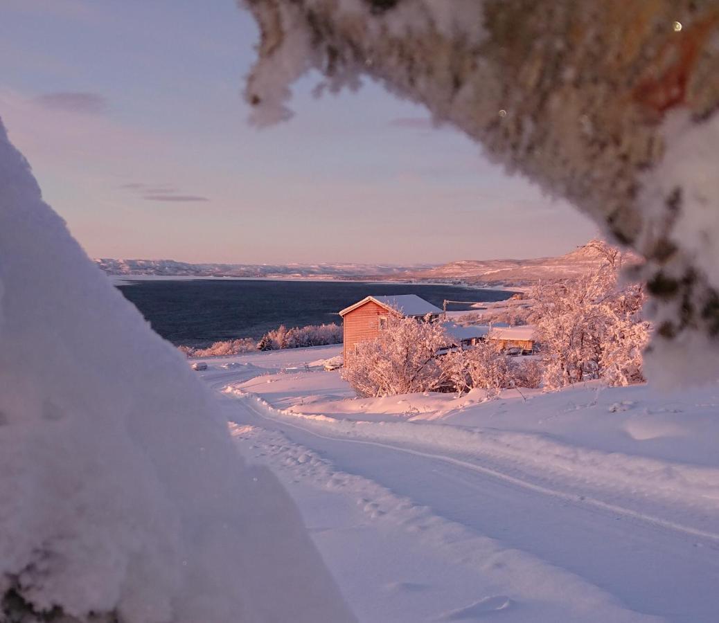 Nesseby Guesthouse Varangerbotn Экстерьер фото